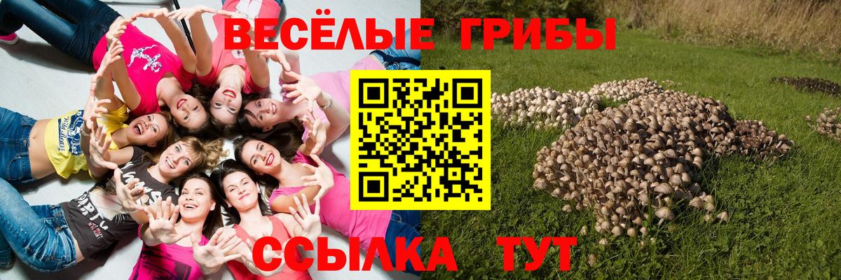 Галлюциногенные грибы Cubensis  Вход с VPN  Псилоцибиновые грибы Cubensis  Гусиноозёрск 